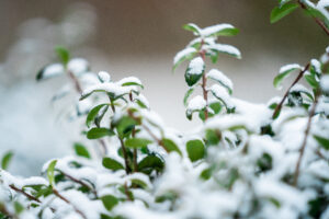 Out like a lamb? March weather continues to swerve from winter to spring
